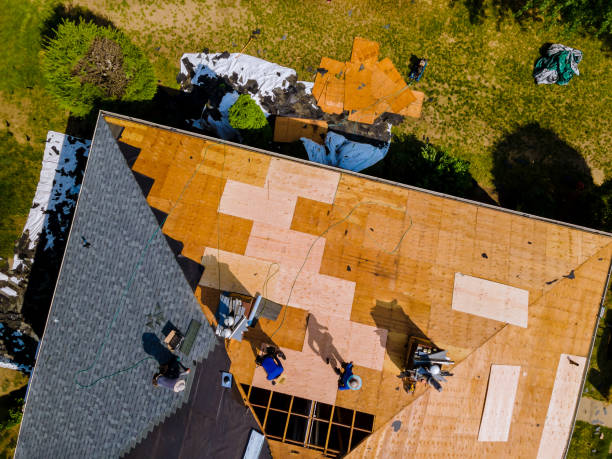 Best Gutter Installation and Roofing  in Ferndale, WA